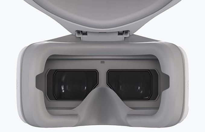 DJI Goggles Gafas FPV Inmersivas HD - Blanco, Seguimiento de Cabeza, 6h Autonomía