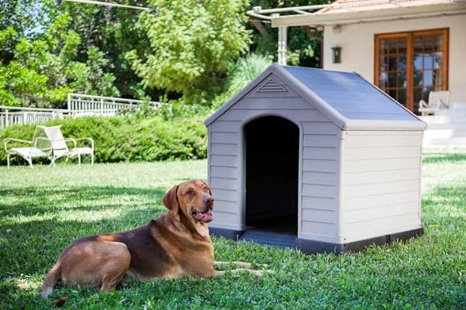 Curver Caseta de Perro de Resina para Exteriores - Para Perros Grandes y Medianos, Gris