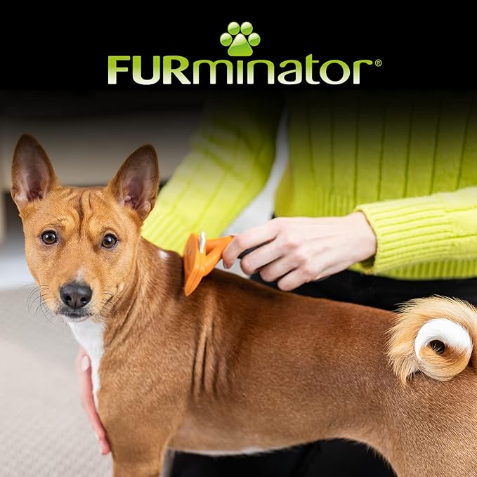 FURminator deShedding Tool Talla M - Para Perros Medianos de Pelo Corto