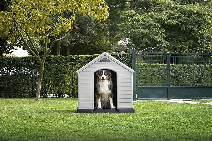 Curver Caseta de Perro de Resina para Exteriores - Para Perros Grandes y Medianos, Gris